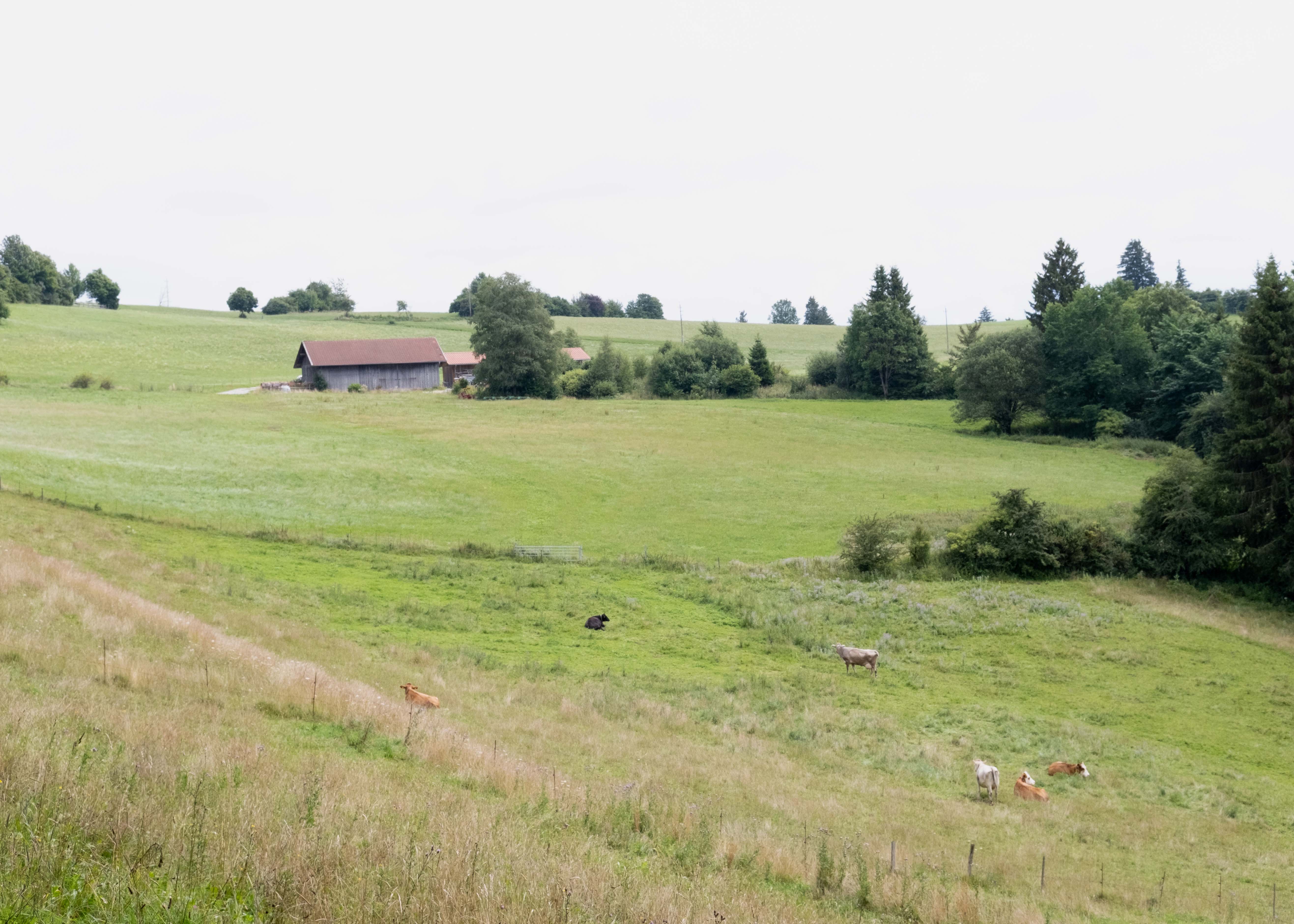 Allgäu 2